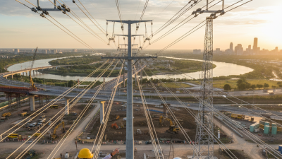 Why Choose a China Pet Jewelry Designer and Manufacturer?