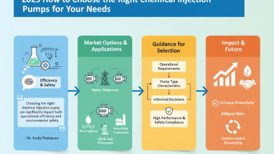 2025 How to Choose the Right Chemical Injection Pumps for Your Needs