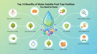 Top 10 Benefits of Water Soluble Fruit Tree Fertilizer You Need to Know