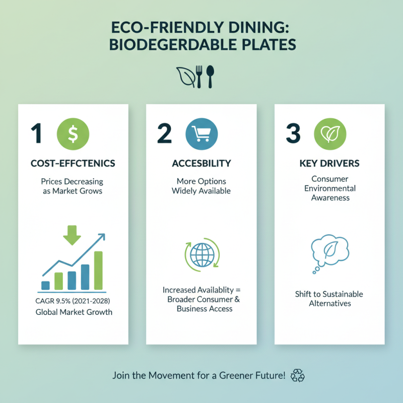 How to Choose Biodegradable Paper Plates for Eco Friendly Dining