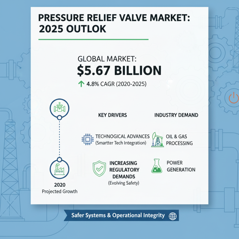 Top 2025 Pressure Relief Valve Insights and Trends You Need to Know