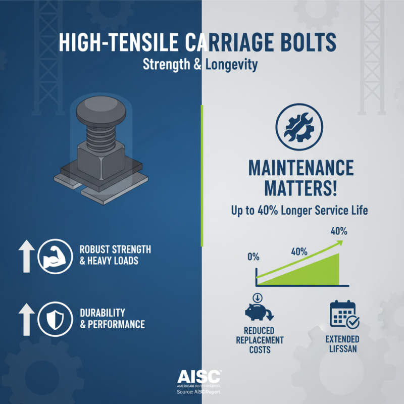 Top 10 High Tensile Carriage Bolt Uses Benefits and Buying Guide