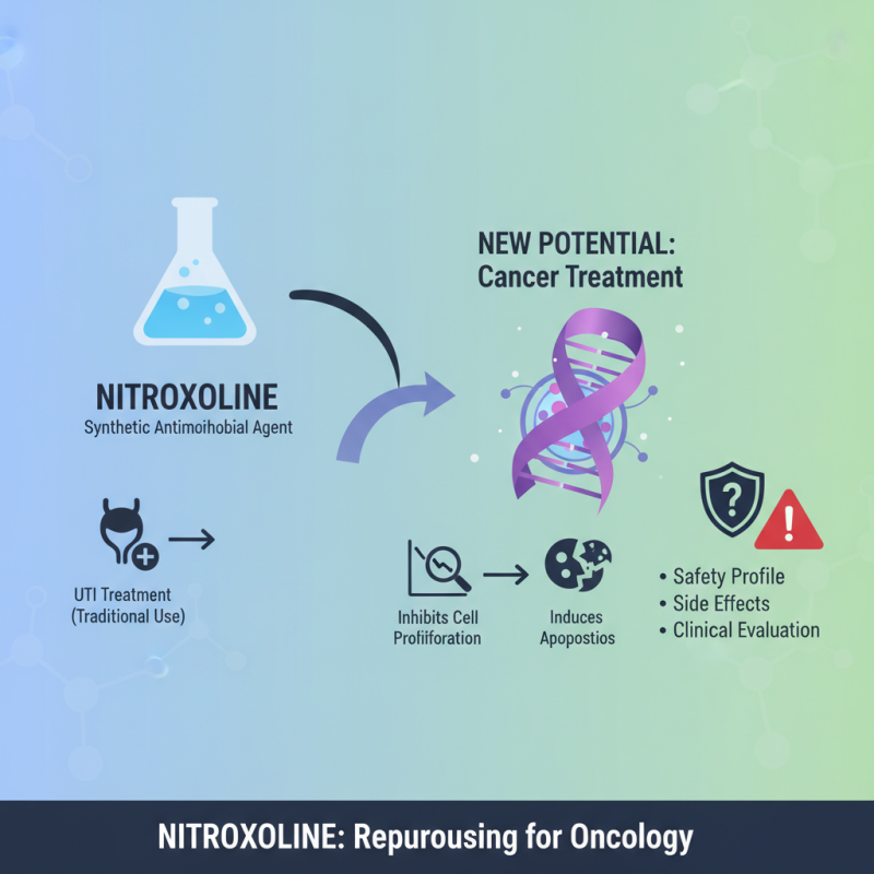 Top 10 Insights on Nitroxoline and Its Role in Cancer Cell Inhibition