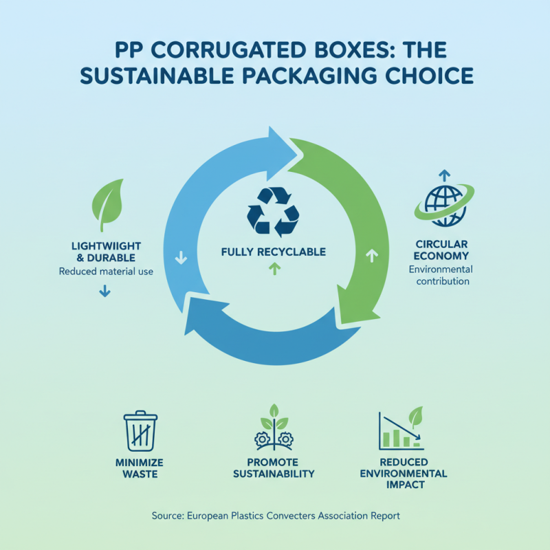 Top 10 Benefits of Pp Corrugated Boxes for Your Packaging Needs
