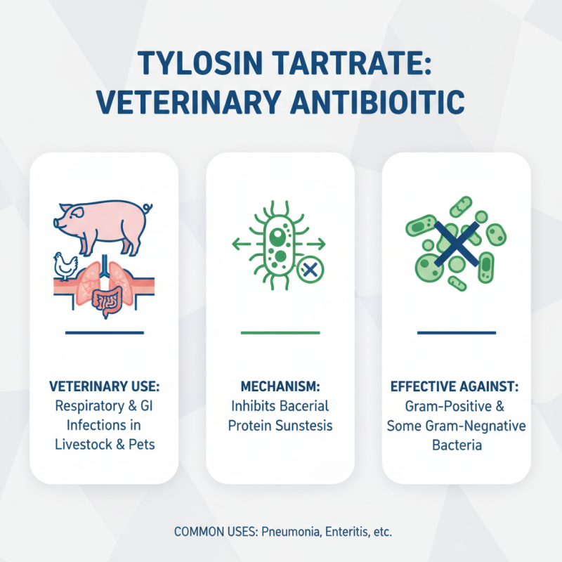 Tylosin Tartrate Benefits Uses and Side Effects in Veterinary Medicine