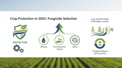 How to Choose the Right Glass for Your Home Decor?