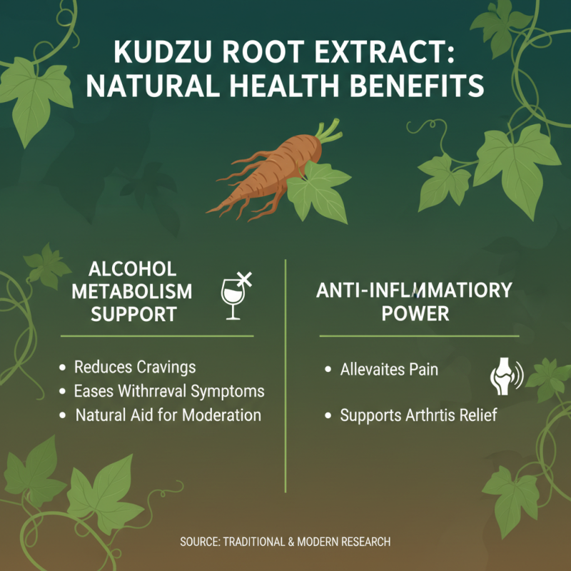 Why Choose Kudzu Root Extract? Benefits, Uses, and Health Insights Explained