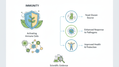How to Boost Your Immunity with Yeast Glucan: Benefits and Uses Explained
