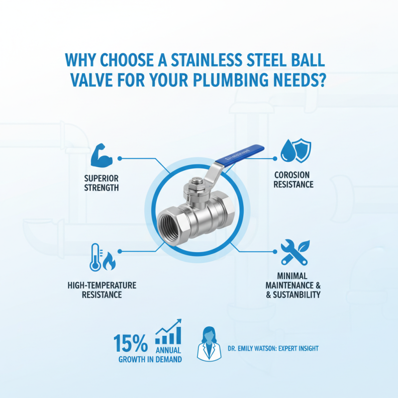 Why Choose a Stainless Steel Ball Valve for Your Plumbing Needs?