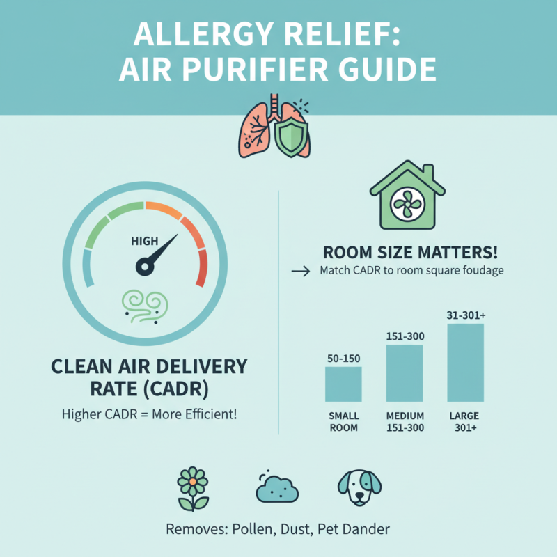 How to Choose the Best Air Purifiers for Allergies and Improve Air Quality