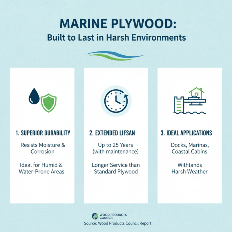 Why Choose Marine Plywood Sheets for Your Next Building Project