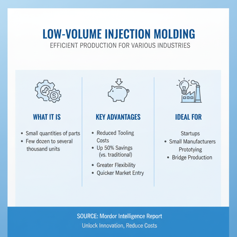 2025 Top Insights on Low Volume Injection Moulding for Efficient Production