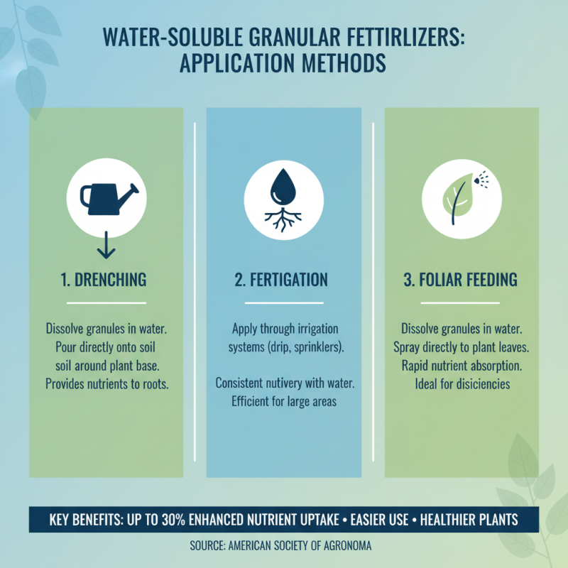 10 Best Water Soluble Granular Fertilizers for Maximum Plant Growth
