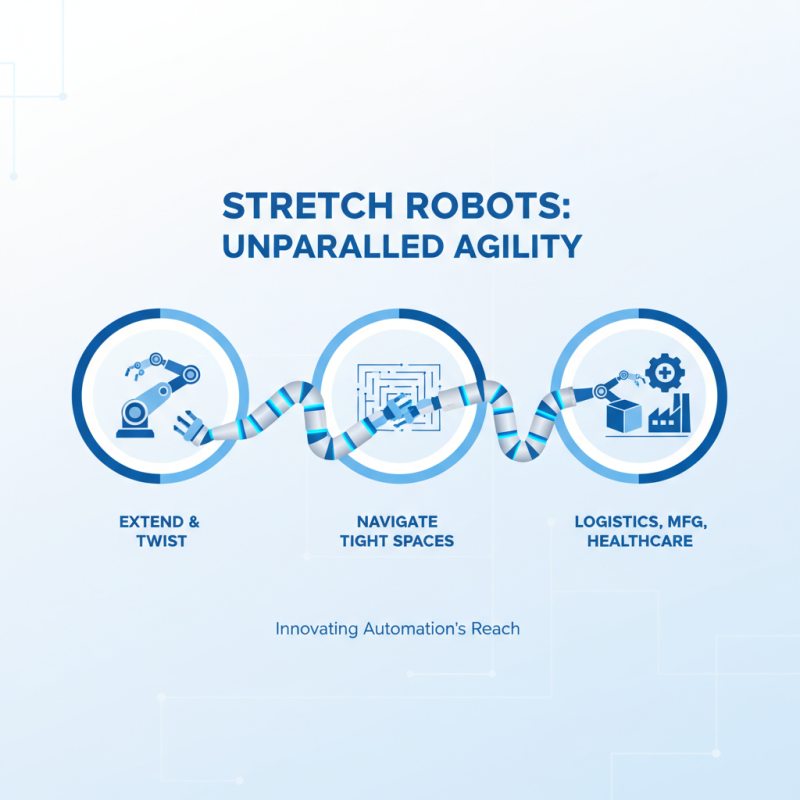 Top Stretch Robots: Revolutionizing Flexibility and Performance in Robotics