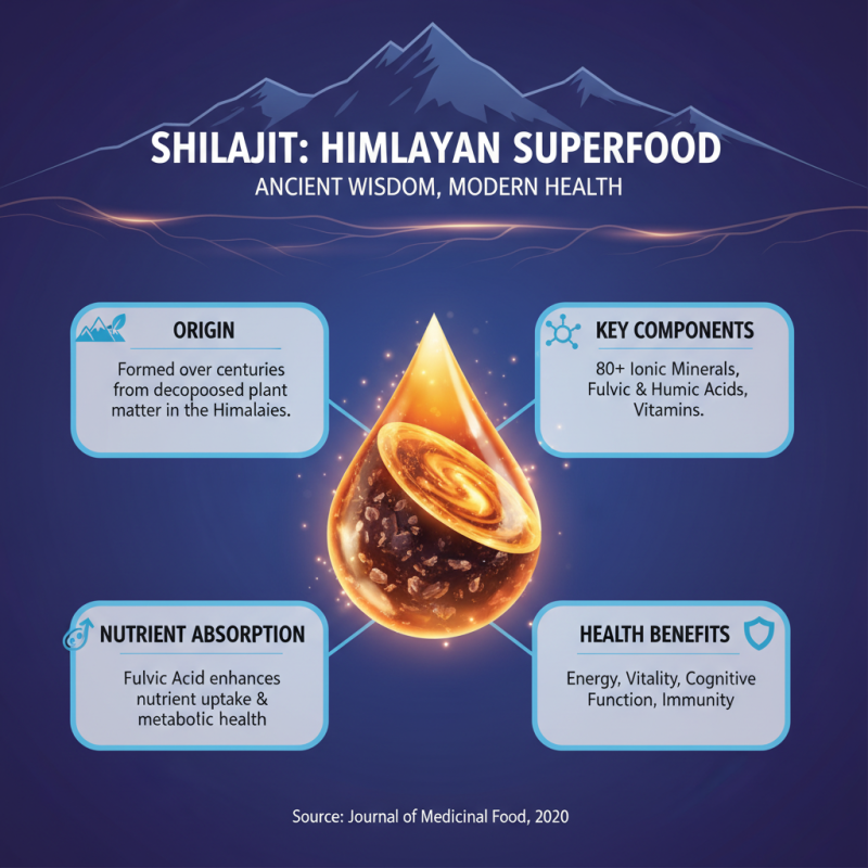 How to Use Bulk Shilajit Extract Powder for Maximum Health Benefits?