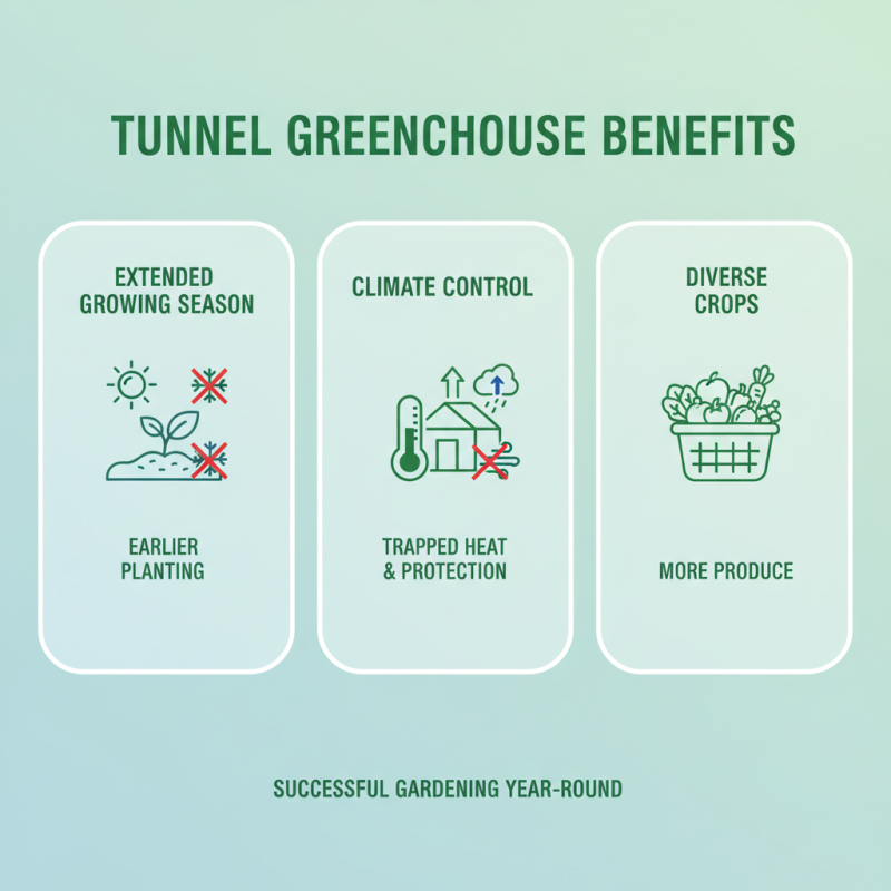 Why Choose a Tunnel Greenhouse for Your Gardening Success
