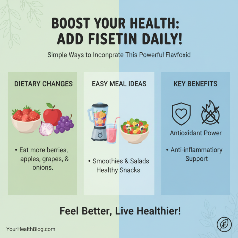 What is Fisetin and How Does It Benefit Your Health and Wellbeing