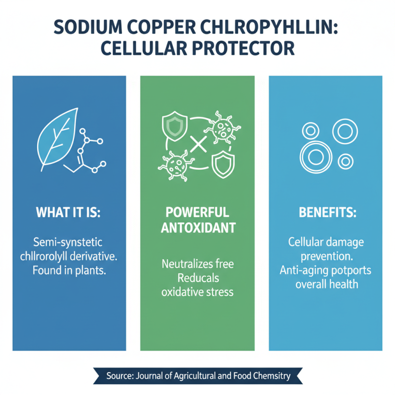 Top 10 Benefits of Bulk Sodium Copper Chlorophyllin You Should Know