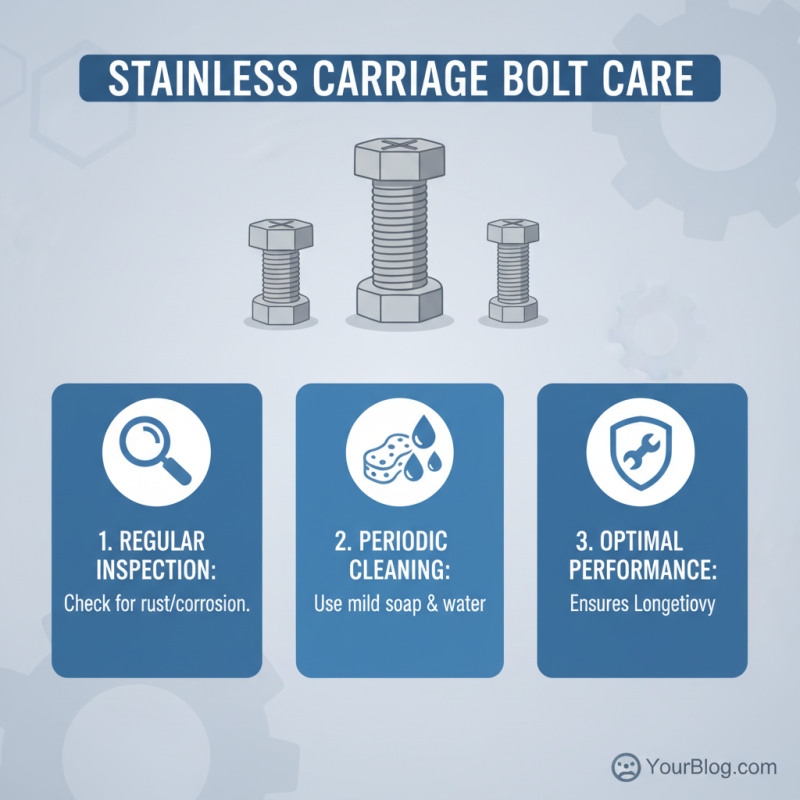 Top 10 Best Stainless Carriage Bolts for Your Projects
