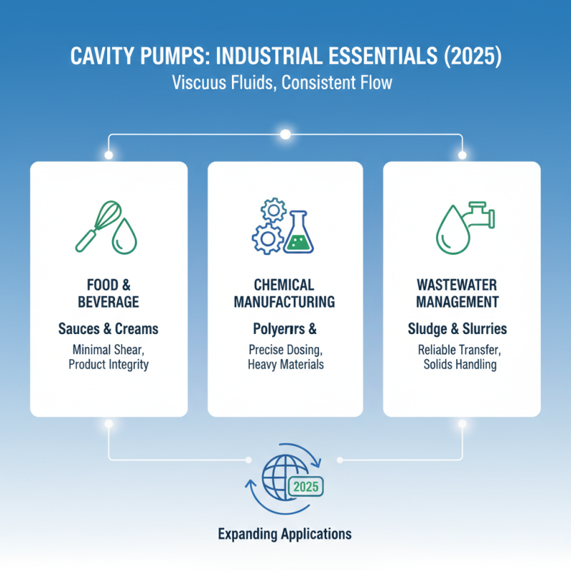 Top Cavity Pumps for 2025 Applications and Benefits You Should Know