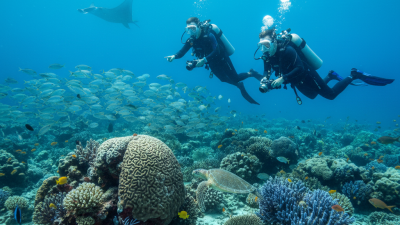 Why Scuba Diving is the Ultimate Adventure for Ocean Lovers in 2023