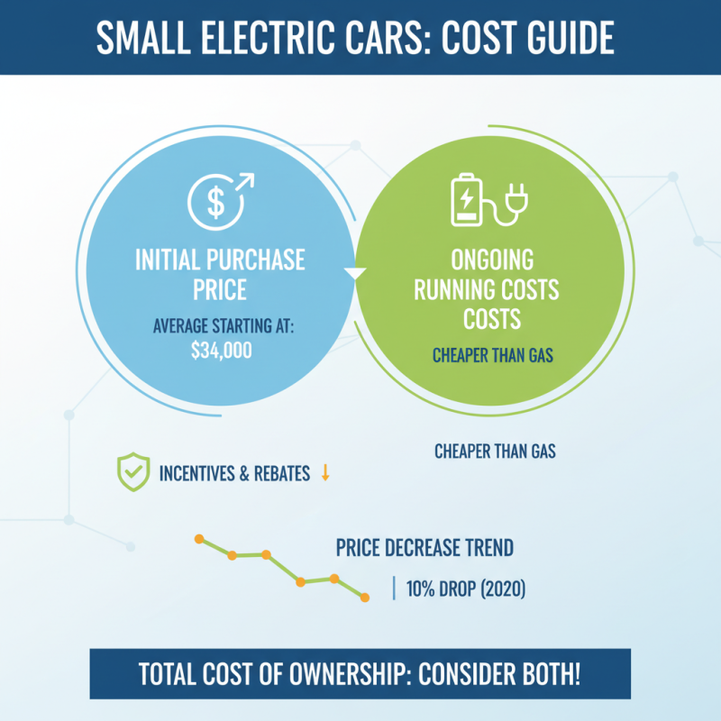 10 Essential Tips for Choosing a Small Electric Car That Fits Your Lifestyle