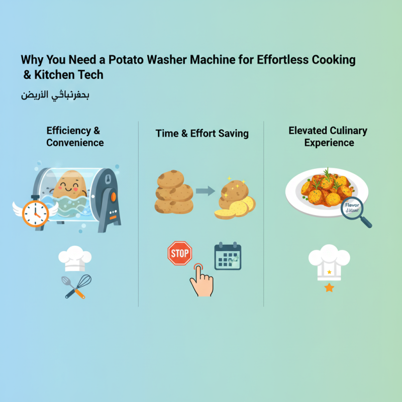 Why You Need a Potato Washer Machine for Effortless Cooking وتقنيات المطبخ