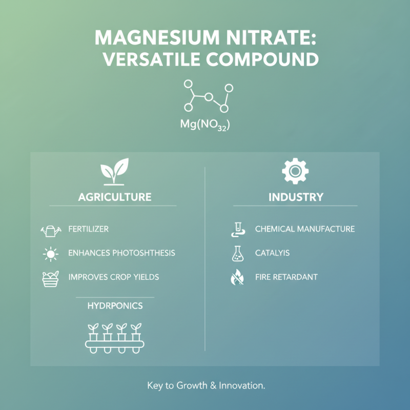 Understanding Magnesium Nitrate Powder Uses Benefits and Safety Tips