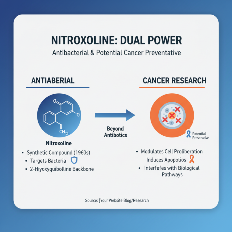 Why Nitroxoline Could Be Key in Cancer Prevention: Exploring Its Role