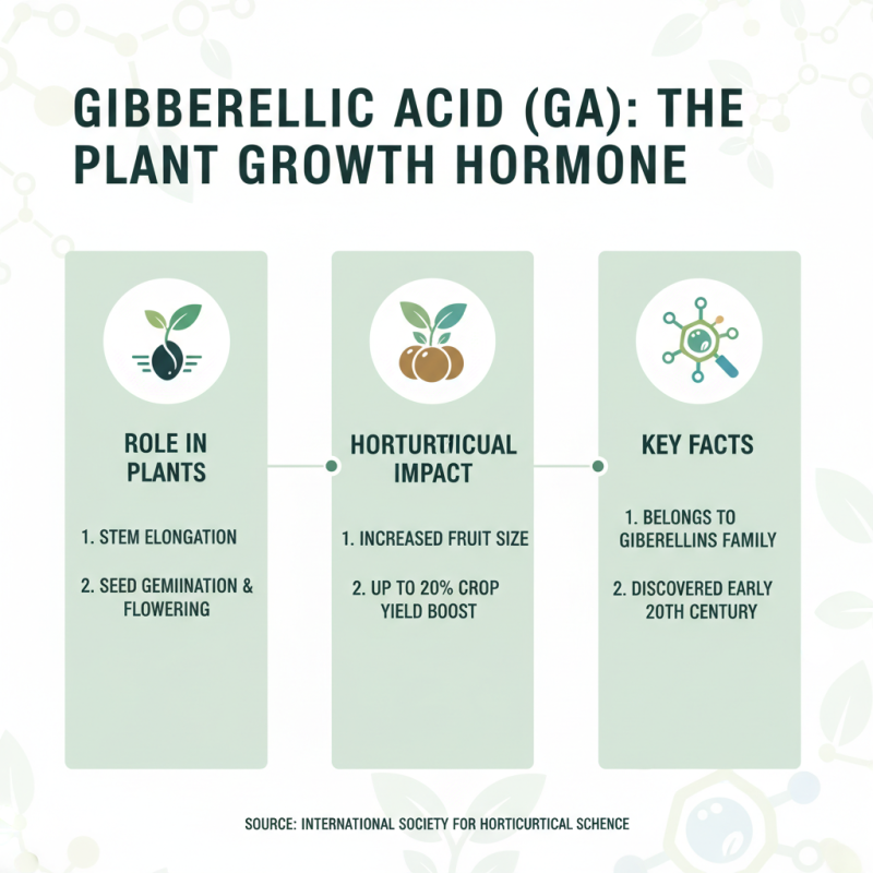 How Gibberellic Acid Influences Plant Growth and Boosts Your Garden Yield