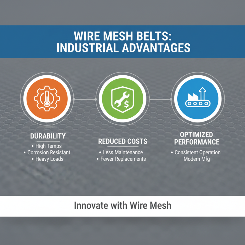 Why Choose Wire Mesh Belts for Enhanced Efficiency in Industrial Applications?
