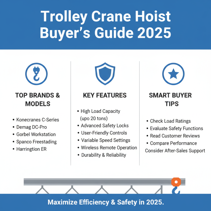 Top Trolley Crane Hoist Features Benefits and Buying Guide for 2025