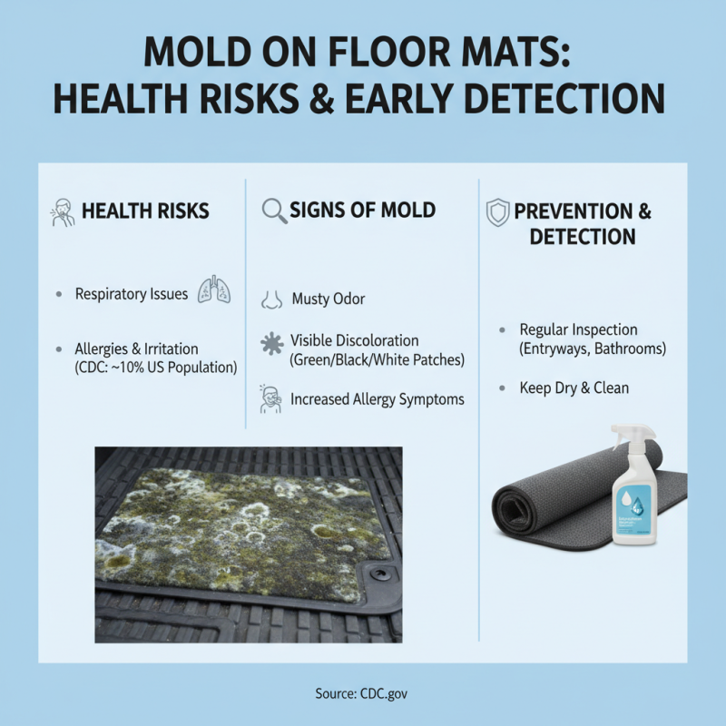 What is Floor Mat Mold and How to Prevent it in Your Home