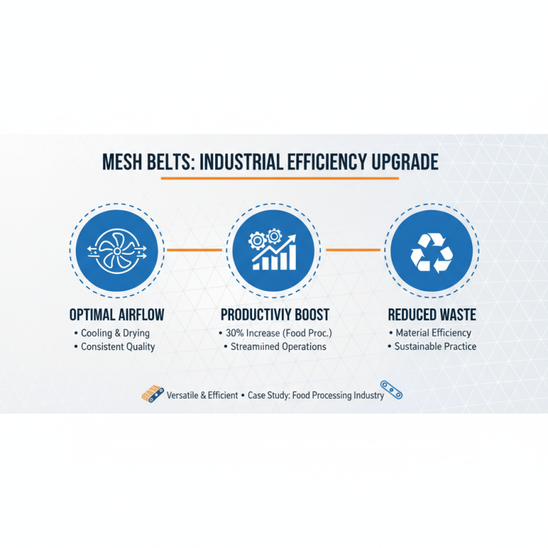 Why Choose a Mesh Belt for Your Industrial Needs? Benefits and Applications Explained