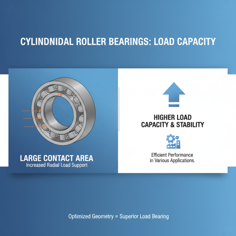 Top 10 Cylindrical Roller Bearing Features You Should Know