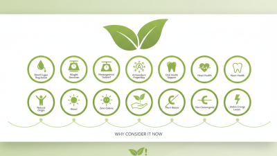 Top 10 Benefits of Stevia Extract: Why You Should Consider It Now