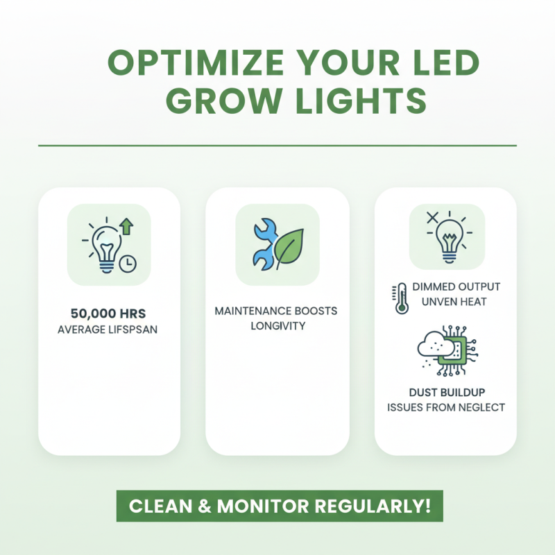 2026 Best Greenhouse Grow Lights for Optimal Plant Growth and Yield