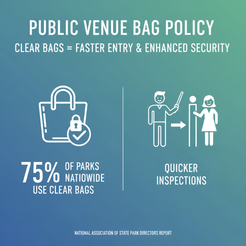 10 Essential Tips for Choosing the Best Clear Bags for Every Occasion