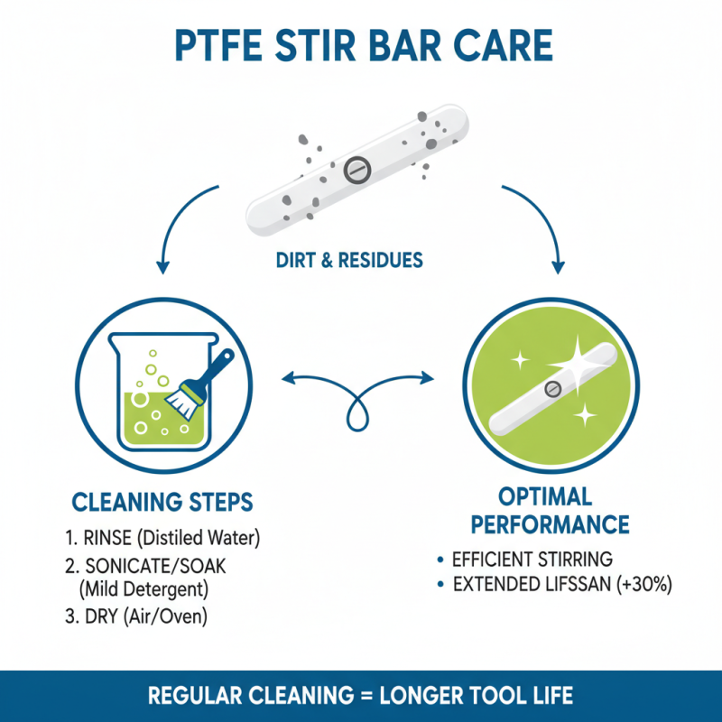 Ultimate Guide with 10 Tips for Using PTFE Stir Bars Retriever