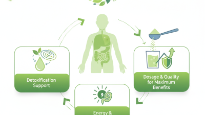 How to Use Chlorophyllin Powder for Health and Wellness Benefits