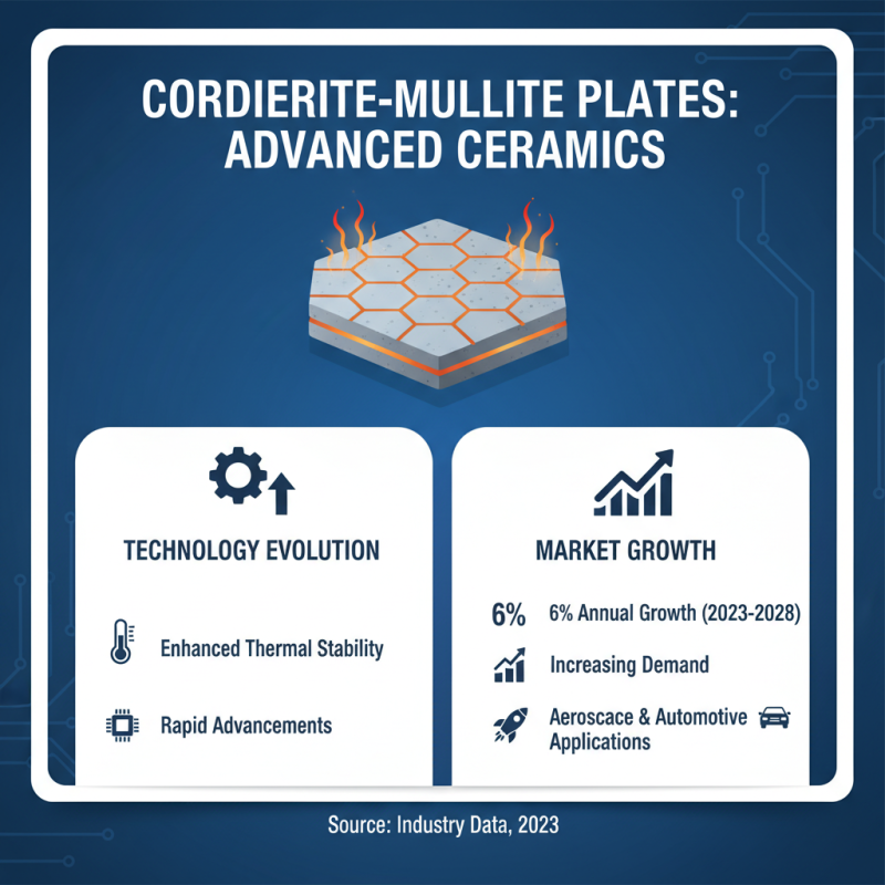 2026 Best Cordierite Mullite Plate Applications and Benefits Revealed