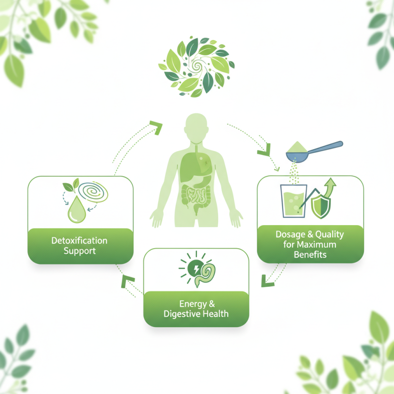 How to Use Chlorophyllin Powder for Health and Wellness Benefits