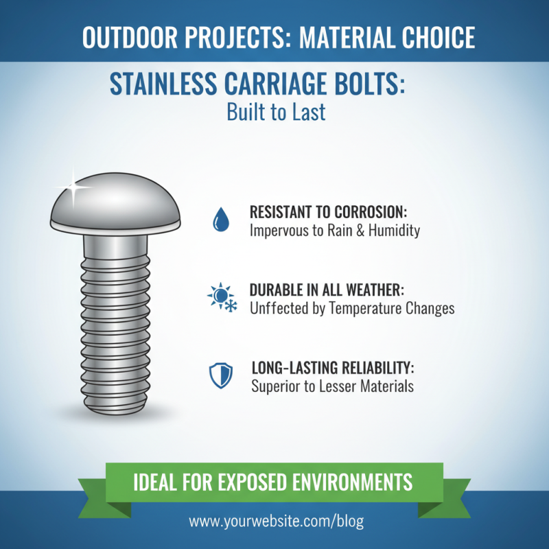 Ultimate Guide to Stainless Carriage Bolt Types and Usage Tips