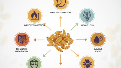 Top 10 Benefits of Cumin Seeds You Should Know?
