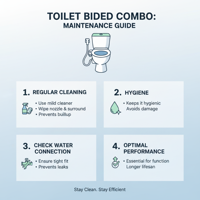 How to Choose a Toilet and Bidet Combo for Your Bathroom?
