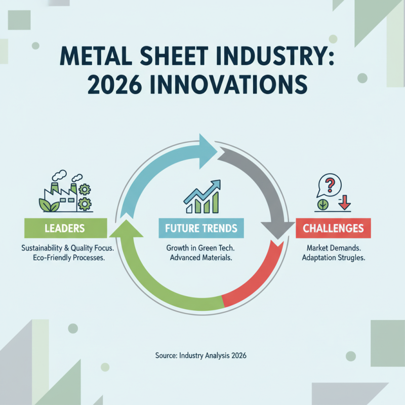 Best Metal Sheets for Your Projects in 2026?