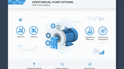 Why Choose China Pet Jewelry Designer and Manufacturer for Quality?