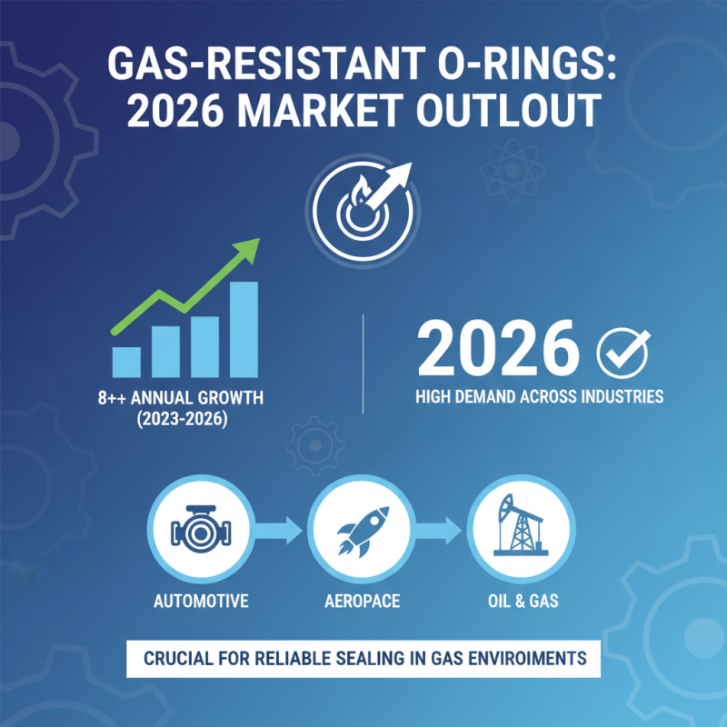 2026 Best Gas Resistant O Rings for Your Applications?