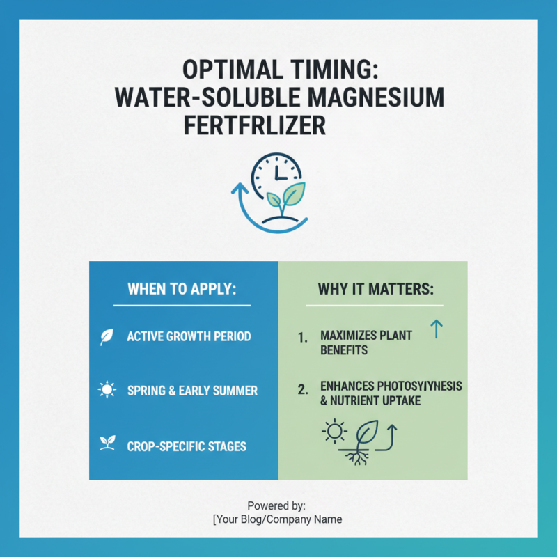 How to Use Water Soluble Magnesium Fertilizer Effectively?