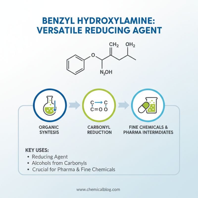 What is O Benzyl Hydroxylamine and Its Uses?